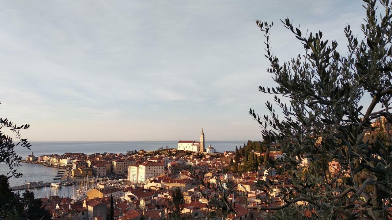 Apartma Marinka Piran Exterior photo
